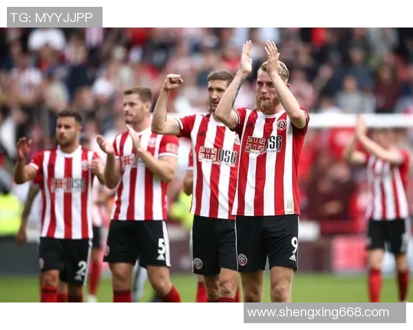 南安普顿与谢菲联历史交锋记录分析及战绩回顾